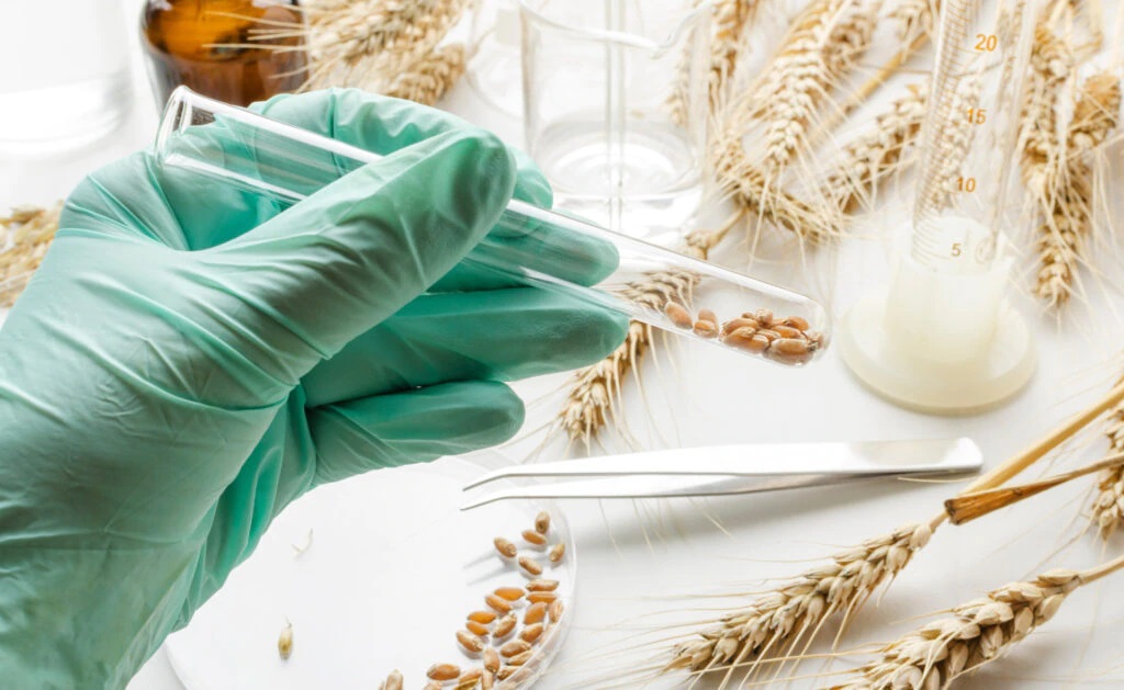 Biotecnología agrícola: una herramienta para mejorar la producción y la sostenibilidad