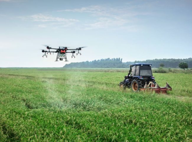 Agricultura de Precisión: tecnologías avanzadas para un cultivo eficiente