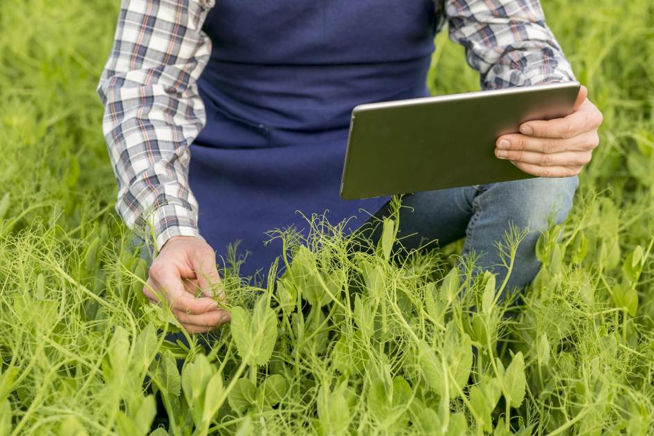 Beneficios de la agricultura de precisión en la modernización agrícola