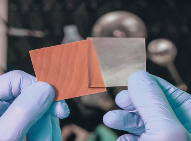 Madera Transparente: ¿De qué se trata? | Innovación