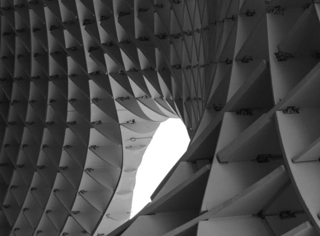 Diseño inspirado en la naturaleza Explorando la Biomimética