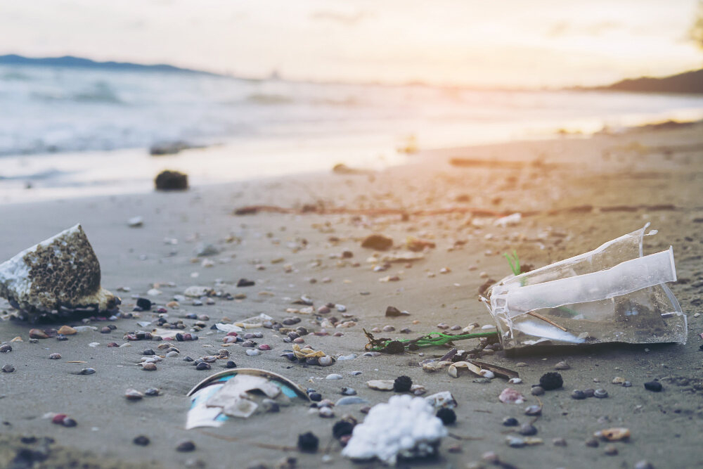 ¿Qué son los envases comestibles?