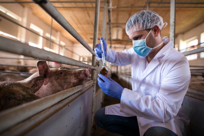 ¿Son seguros los alimentos de laboratorio?