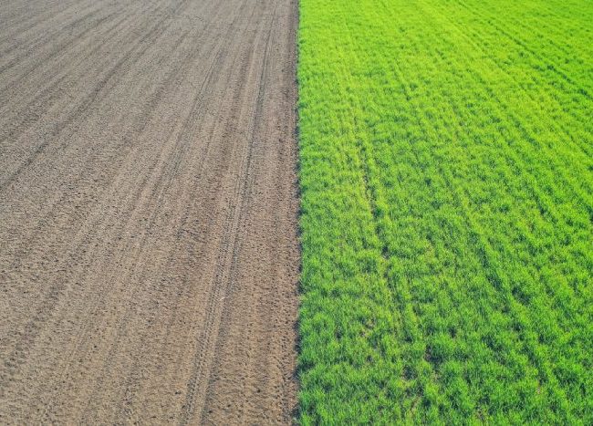 Edafología Digital: Mapas de Suelo para una Agricultura Precisa