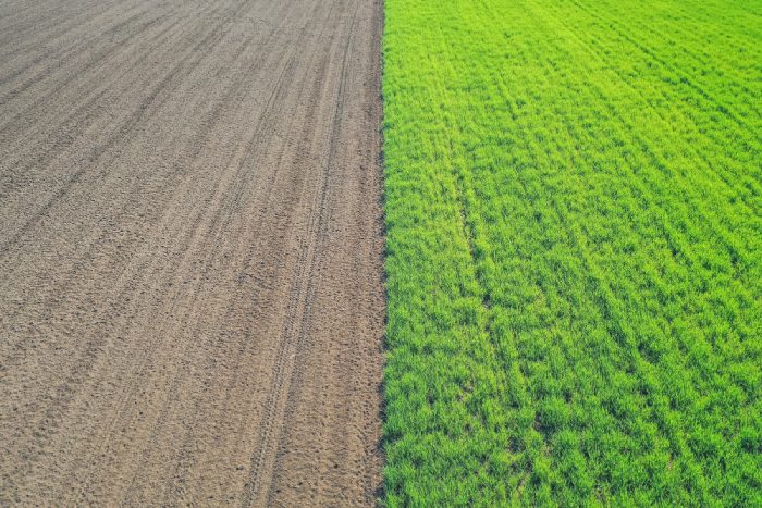 Edafología Digital: Mapas de Suelo para una Agricultura Precisa