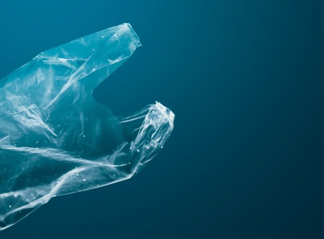 Bioplásticos de Algas: Ventajas, límites y futuro de una alternativa sostenible