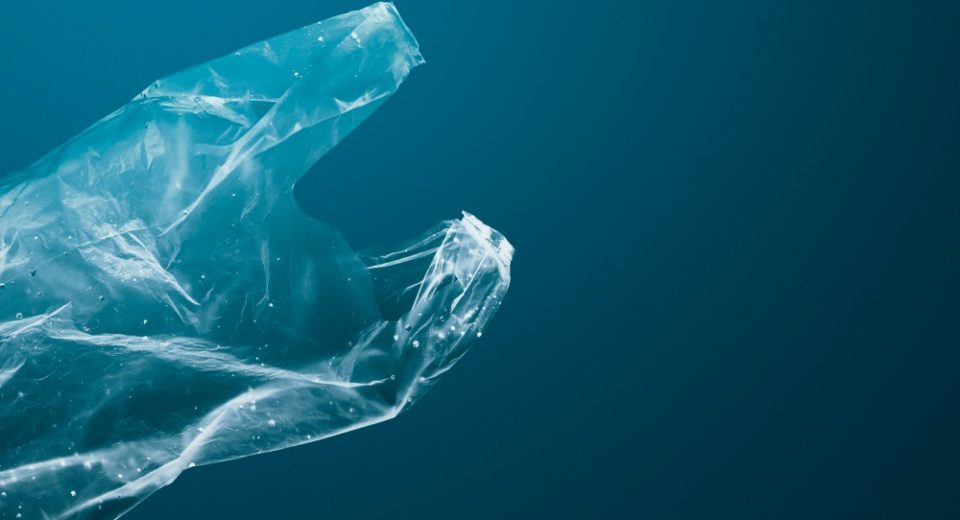 Bioplásticos de Algas: Ventajas, límites y futuro de una alternativa sostenible