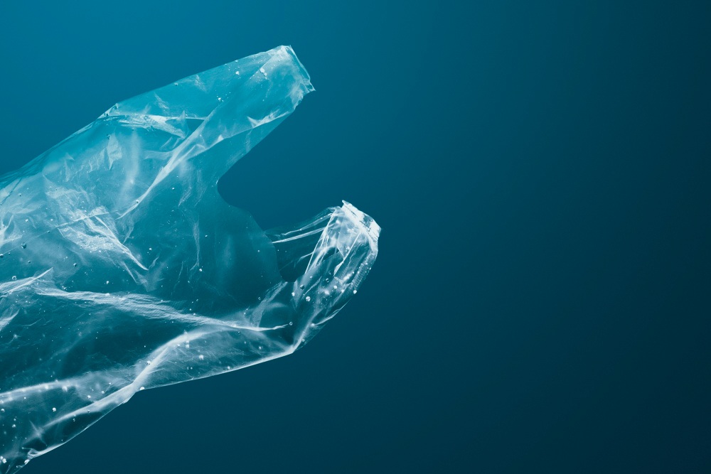 Bioplásticos de Algas: Ventajas, límites y futuro de una alternativa sostenible
