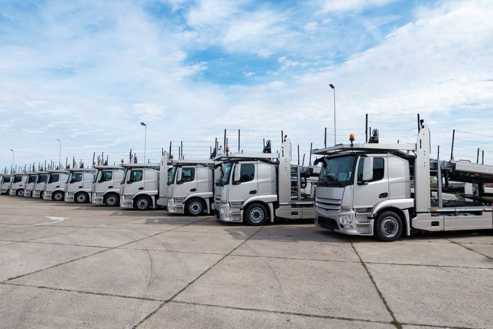 Opciones para renovar la flota: compra, leasing o subastas