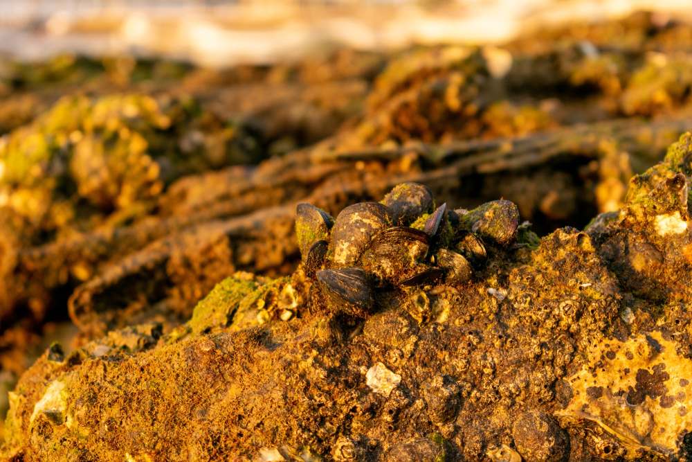 ¿Qué son las Tierras Raras?