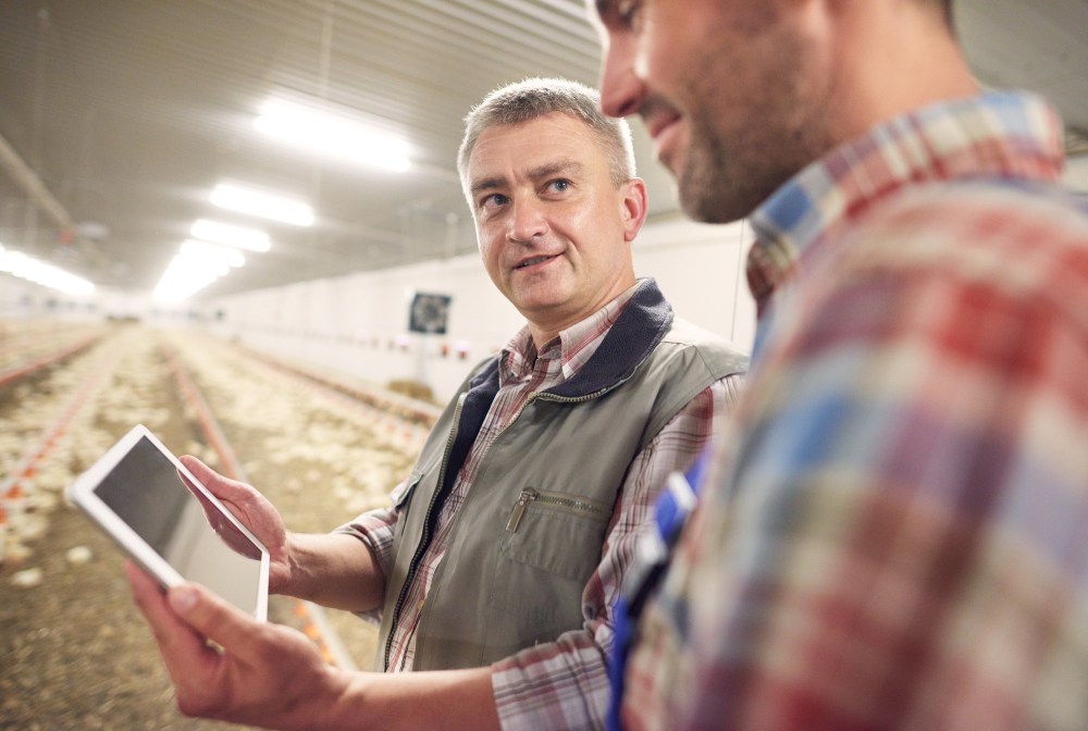 Futuro y perspectivas de la carne argentina